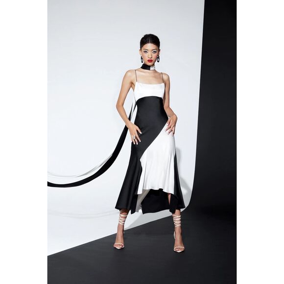 NWT ALICE + OLIVIA ROSA ASYMMETRICAL SLIP DRESS SIZE 10 $495 - Picture 3 of 9